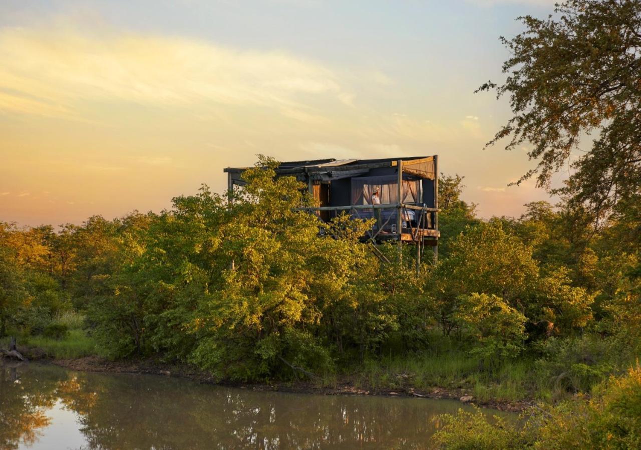 Geiger'S Camp In Timbavati Game Reserve By Newmark Bagian luar foto